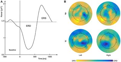 Most Popular Signal Processing Methods in Motor-Imagery BCI: A Review and Meta-Analysis